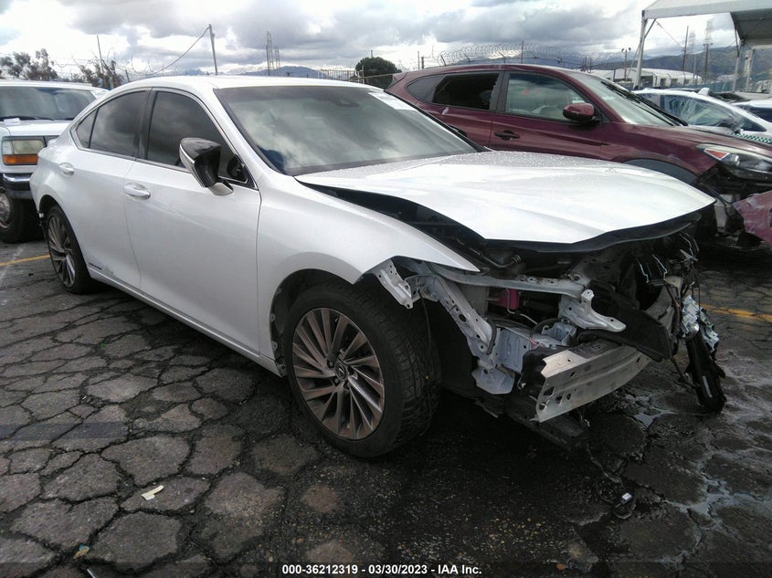 2019 LEXUS ES ES 300H VIN: JTHB21B10K2025839
