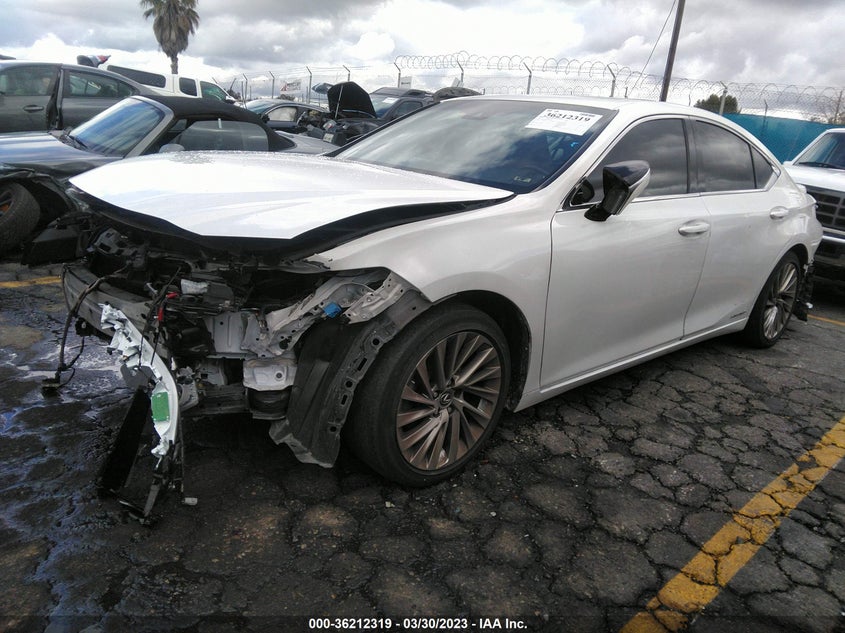2019 LEXUS ES ES 300H VIN: JTHB21B10K2025839