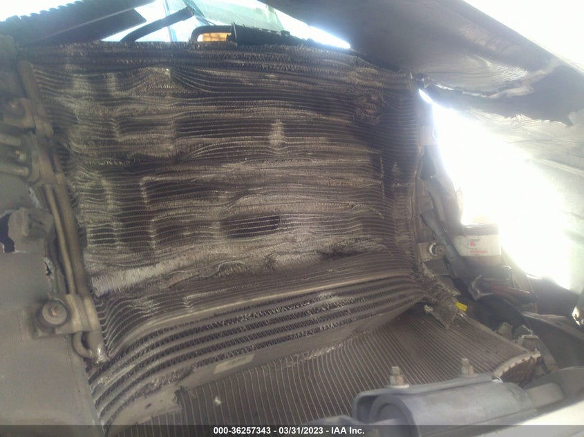 3AKJGEDV8FDGL1464 2015   photo no. 12
