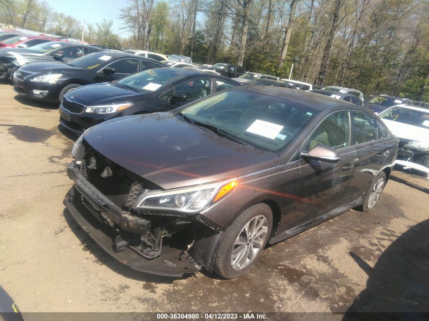 2016 Hyundai Sonata Sport VIN: 5NPE34AF8GH317383 Lot: 36304980