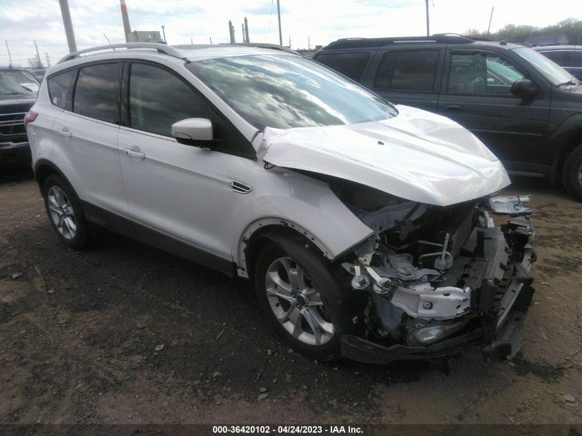 2016 Ford Escape Titanium VIN: 1FMCU0J96GUA49331 Lot: 36420102