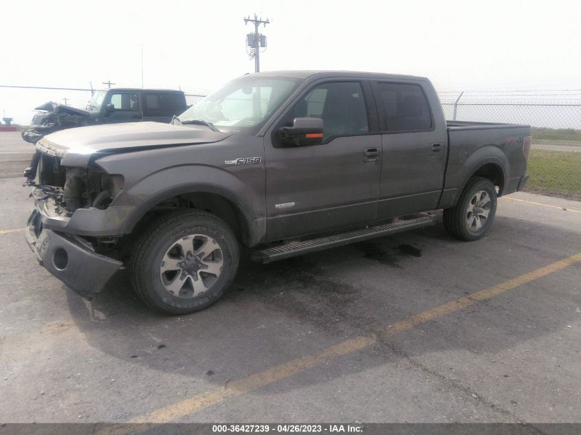 2014 Ford F-150 Fx4 VIN: 1FTFW1ET1EFA87767 Lot: 36427239