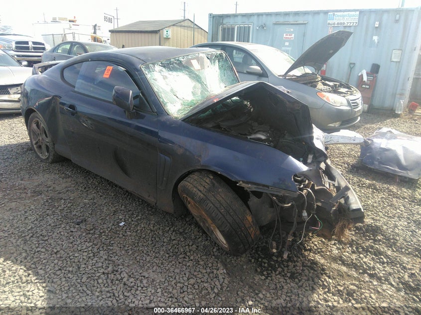 2004 Hyundai Tiburon Gt Sp Ed/Gt V6/Gt V6 Special Edition VIN: KMHHN65F64U118407 Lot: 36466967