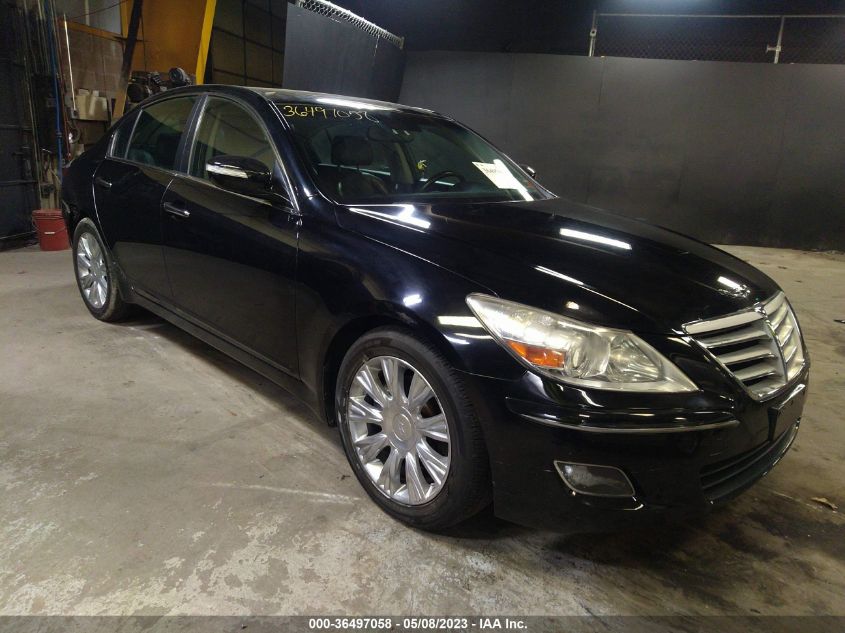 2009 Hyundai Genesis 3.8 VIN: KMHGC46E49U017336 Lot: 36497058