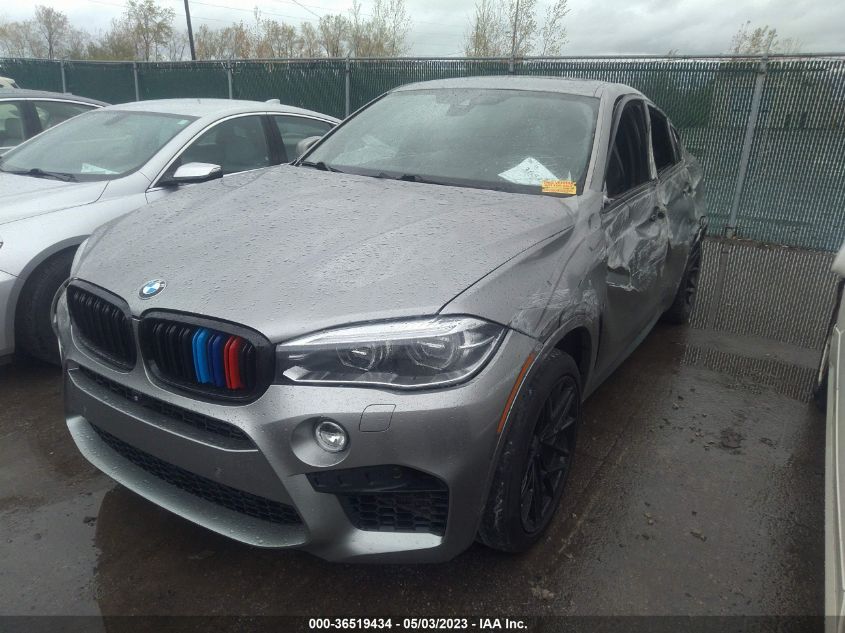 VIN 5YMKW8C52G0R43134 2016 BMW X6, X6 M no.2