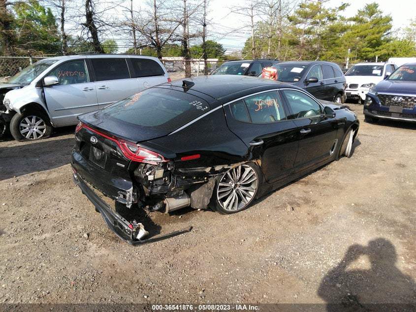 2019 Kia Stinger VIN: KNAE15LA6K6054436 Lot: 36541876