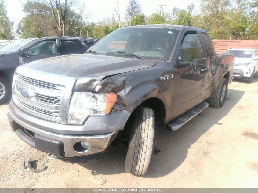 2013 Ford F-150 Xl/Stx/Xlt/Fx4/Lariat VIN: 1FTFX1EF5DFE00194 Lot: 36623508