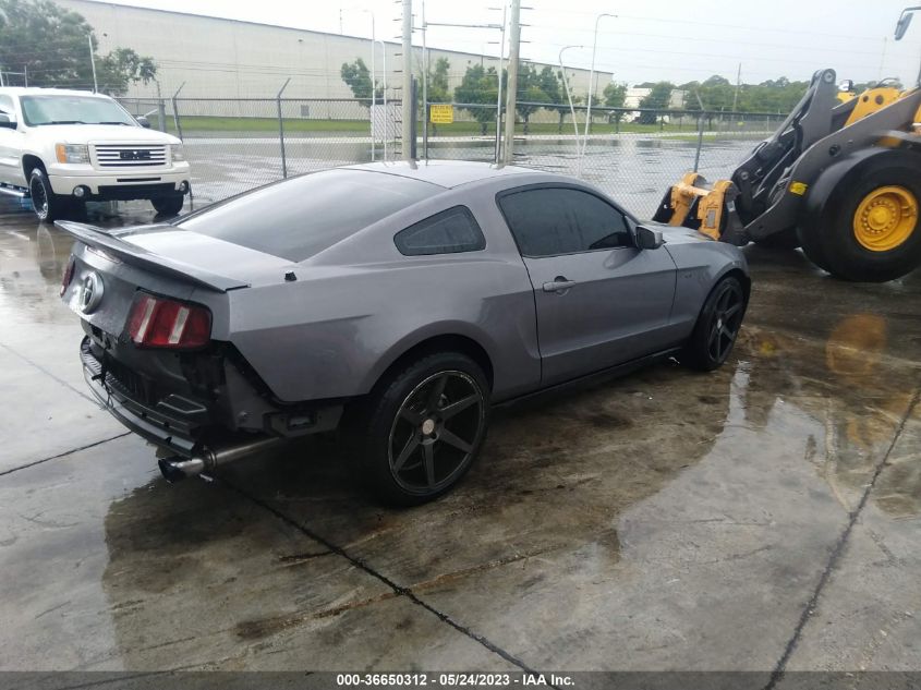 2010 Ford Mustang Gt/Gt Premium VIN: 1ZVBP8CH8A5101793 Lot: 36650312