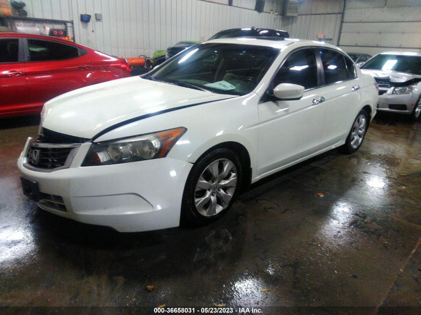 2010 Honda Accord Sdn Ex-L VIN: 1HGCP3F89AA005072 Lot: 36658031