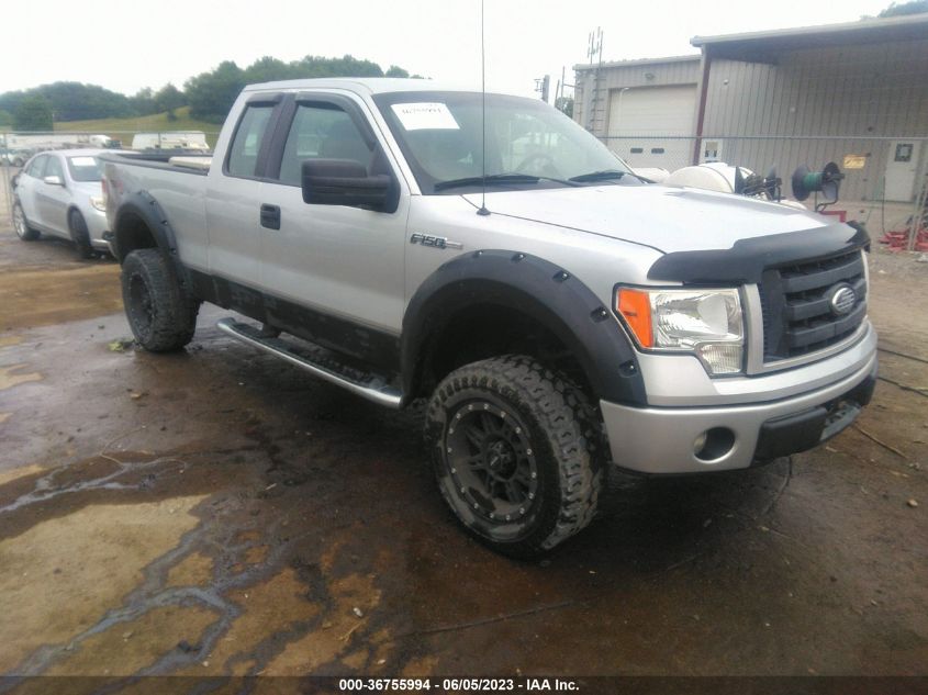 2011 Ford F-150 Stx VIN: 1FTEX1EM0BFA05136 Lot: 36755994