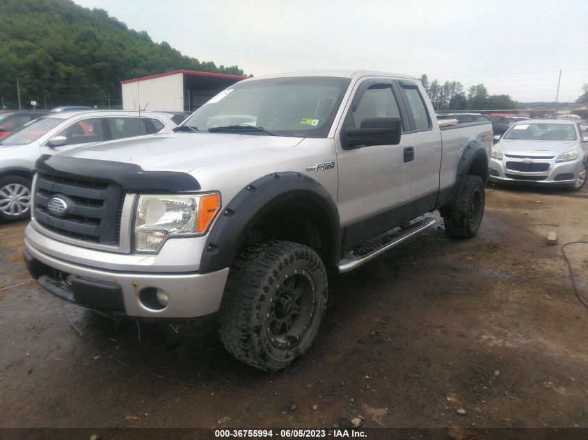 2011 Ford F-150 Stx VIN: 1FTEX1EM0BFA05136 Lot: 36755994