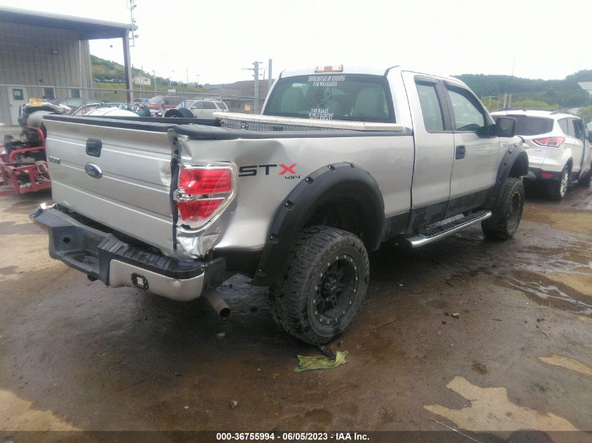 2011 Ford F-150 Stx VIN: 1FTEX1EM0BFA05136 Lot: 36755994