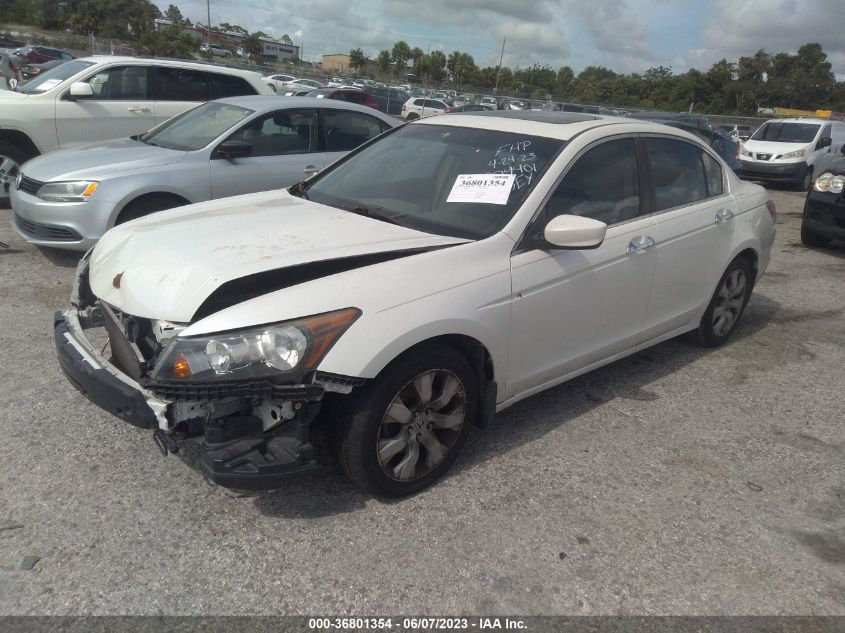 2009 Honda Accord 3.5 Ex-L VIN: 1HGCP36839A004401 Lot: 36801354