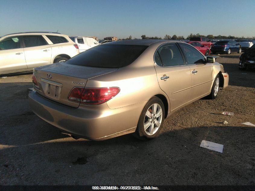 2005 Lexus Es 330 VIN: JTHBA30G355073649 Lot: 36834450