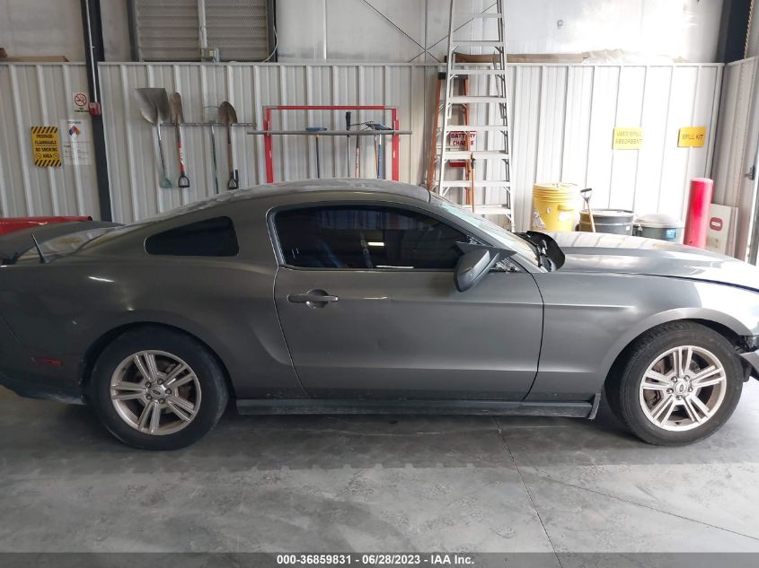 2011 Ford Mustang V6 VIN: 1ZVBP8AM5B5117175 Lot: 36859831