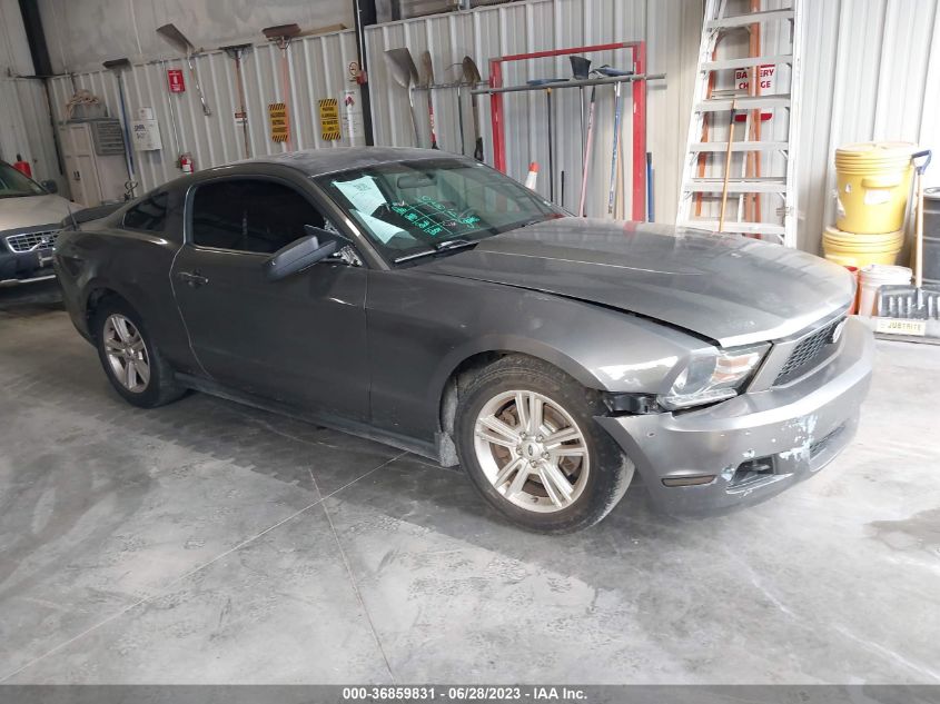 2011 Ford Mustang V6 VIN: 1ZVBP8AM5B5117175 Lot: 36859831