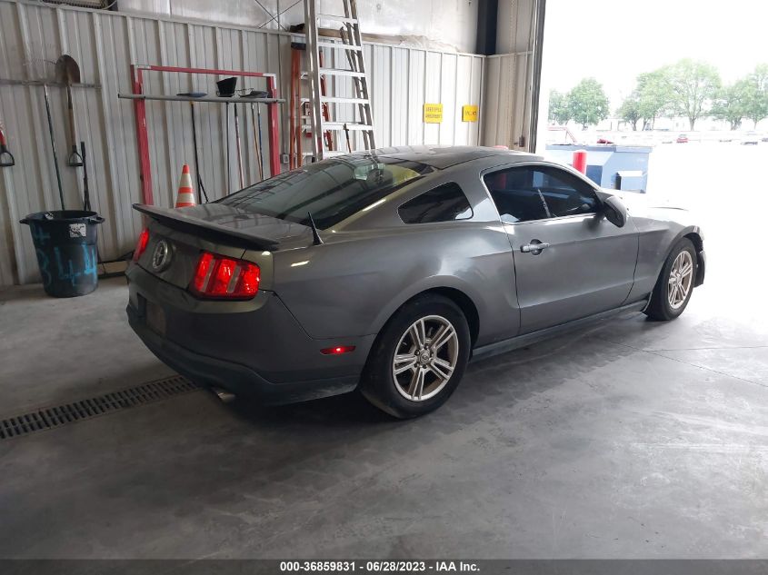 2011 Ford Mustang V6 VIN: 1ZVBP8AM5B5117175 Lot: 36859831