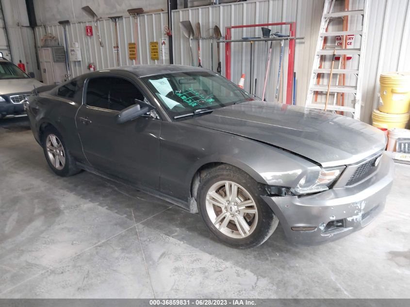 2011 Ford Mustang V6 VIN: 1ZVBP8AM5B5117175 Lot: 36859831