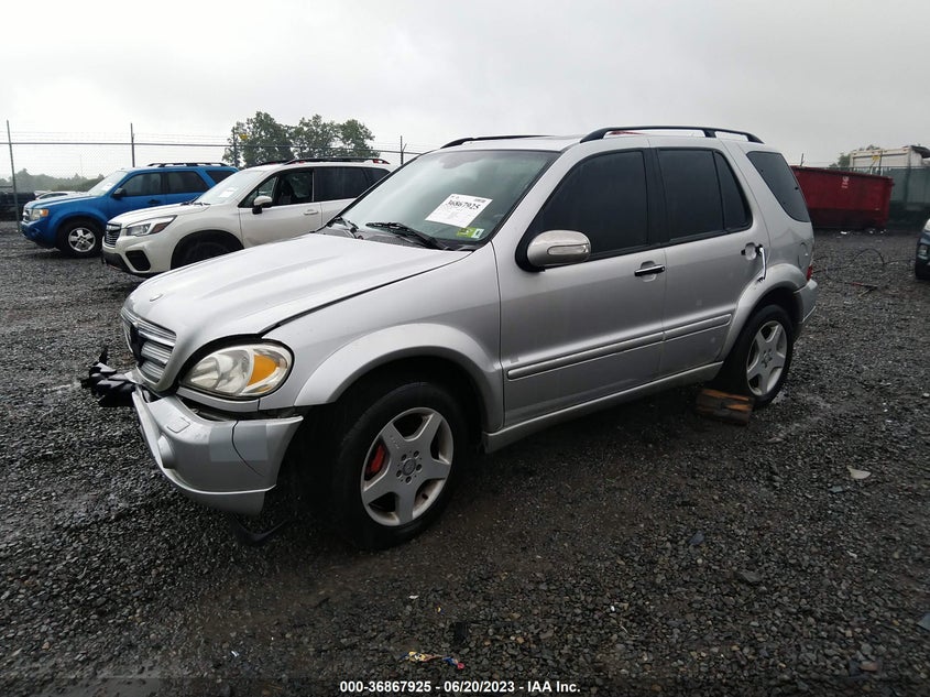 2002 Mercedes-Benz M-Class Amg VIN: 4JGAB74E82A294897 Lot: 36867925
