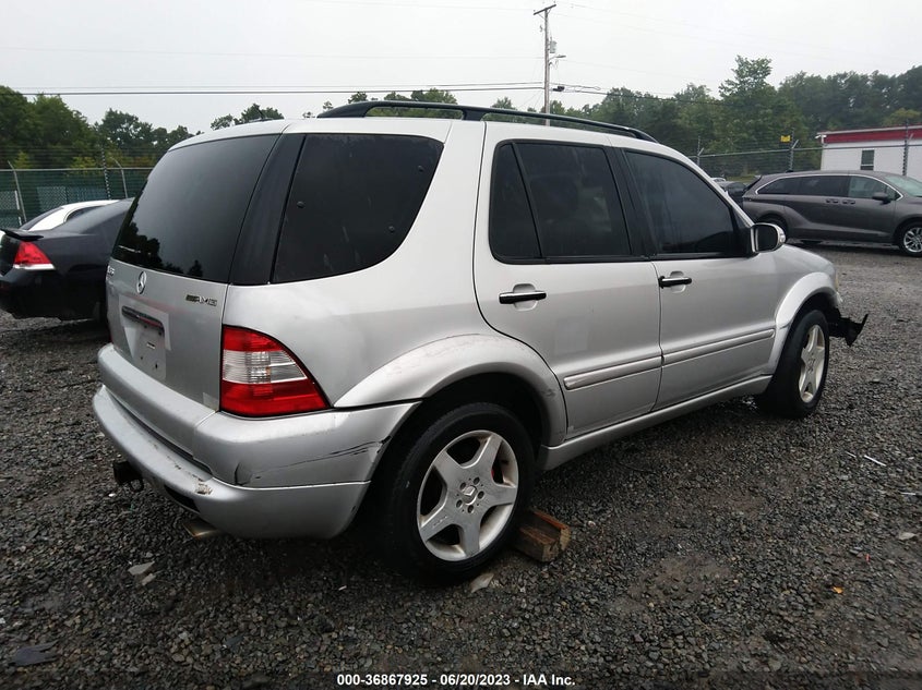 2002 Mercedes-Benz M-Class Amg VIN: 4JGAB74E82A294897 Lot: 36867925