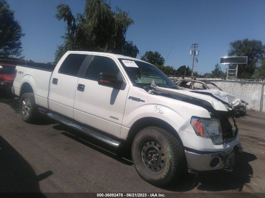 2014 Ford F-150 Xl/Xlt/Fx4/Lariat VIN: 1FTFW1ET3EFB99521 Lot: 36892478