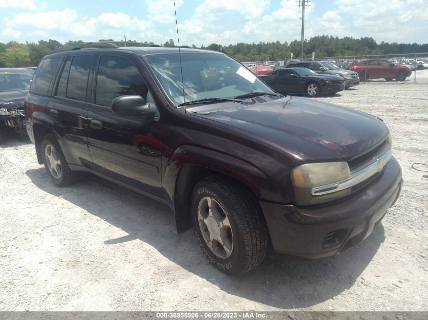 2008 Chevrolet Trailblazer Fleet VIN: 1GNDT13S182154221 Lot: 36955906