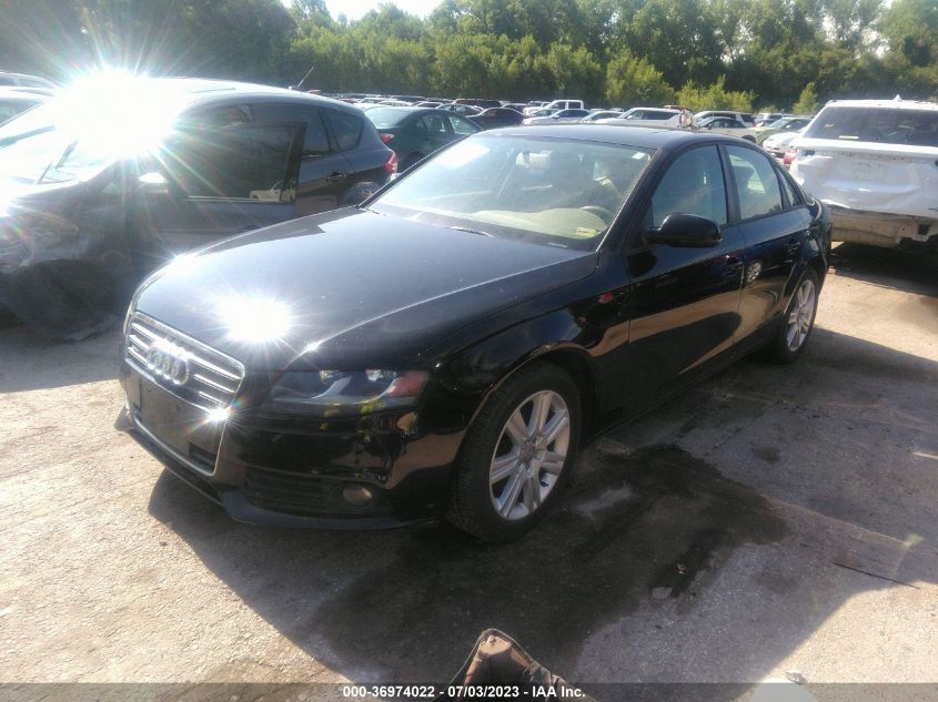 2010 Audi A4 2.0T Premium VIN: WAUBFAFL5AN019451 Lot: 36974022