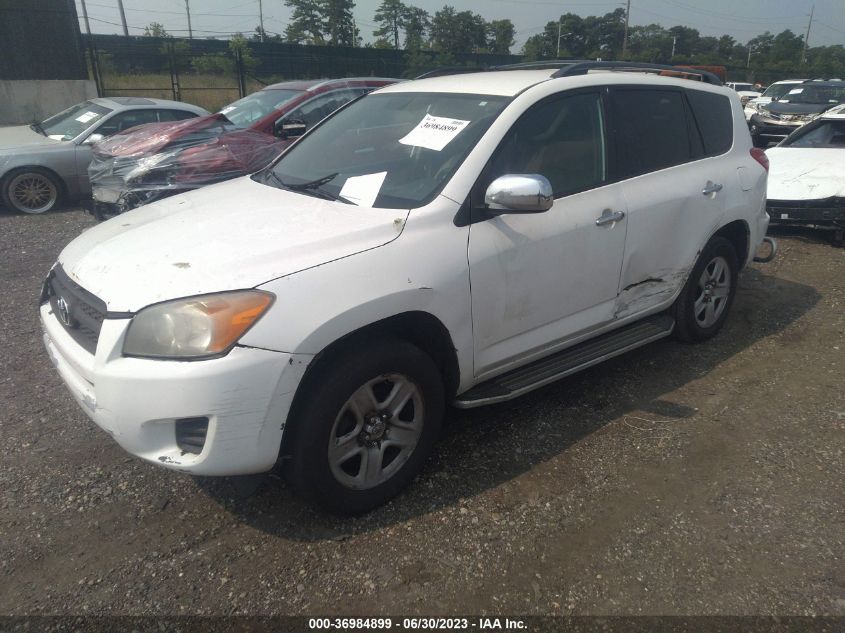 2011 Toyota Rav4 VIN: 2T3BF4DV9BW118406 Lot: 36984899