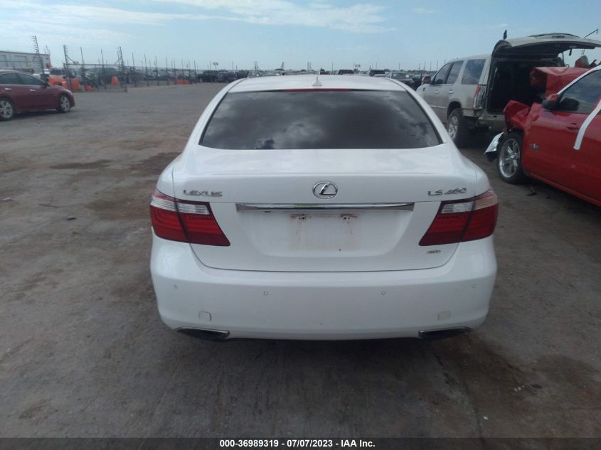 2009 Lexus Ls 460 VIN: JTHCL46F095002966 Lot: 36989319