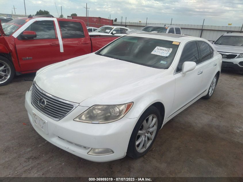 2009 Lexus Ls 460 VIN: JTHCL46F095002966 Lot: 36989319