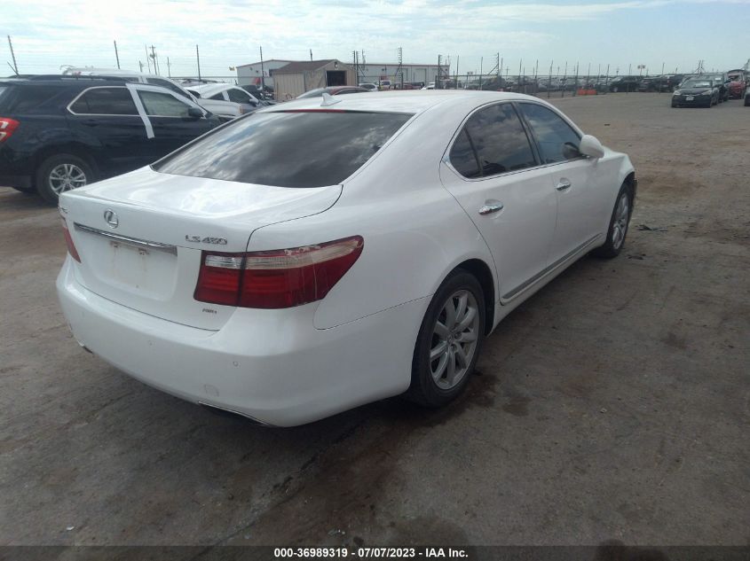 2009 Lexus Ls 460 VIN: JTHCL46F095002966 Lot: 36989319