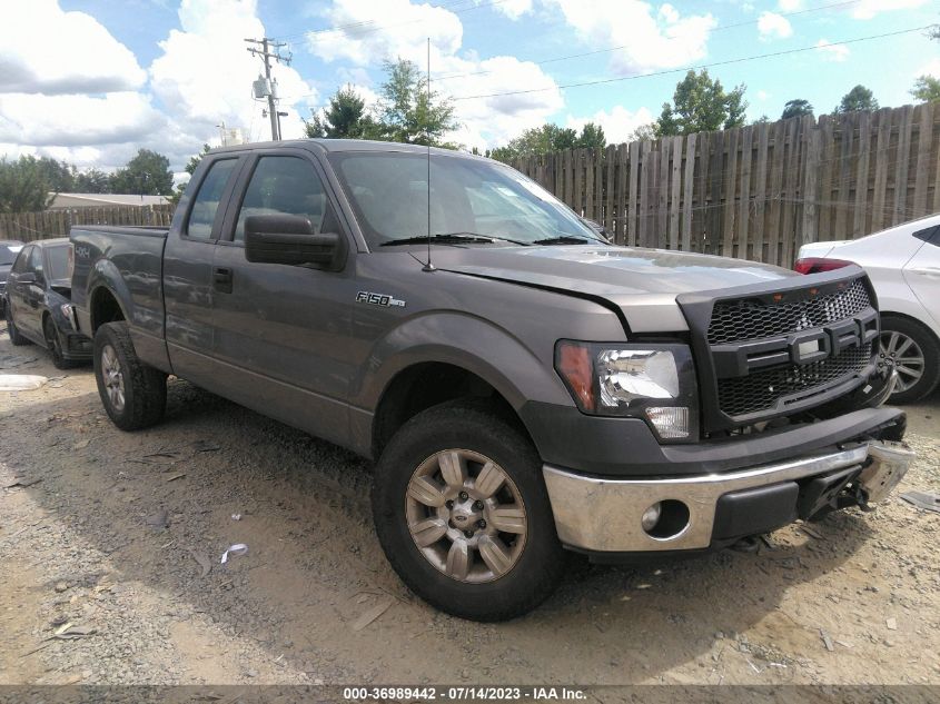 2011 Ford F-150 Xl VIN: 1FTFX1EF9BFB10876 Lot: 36989442