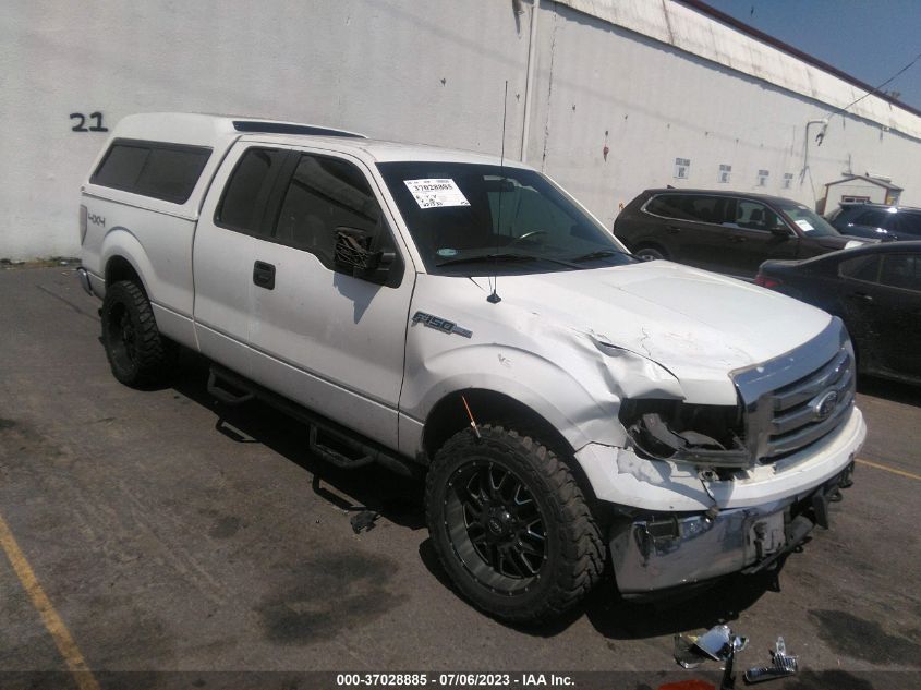 2010 Ford F-150 Lariat/Fx4/Xl/Xlt VIN: 1FTFX1EV6AKE17273 Lot: 37028885