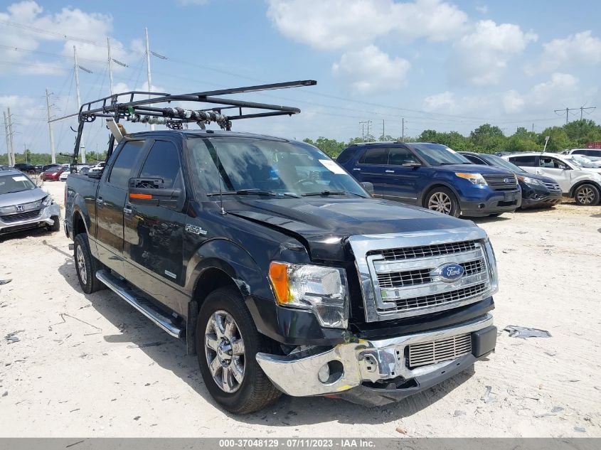 1FTFW1CTXDFD37976 2013 Ford F-150 Xlt