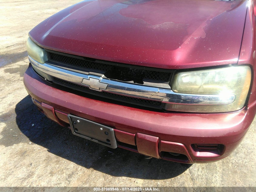 2004 Chevrolet Trailblazer Ls VIN: 1GNDT13S642406507 Lot: 37069946