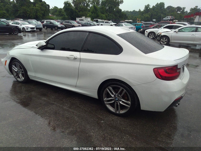 2017 BMW 230I xDrive VIN: WBA2H9C30H7A25740 Lot: 37082362