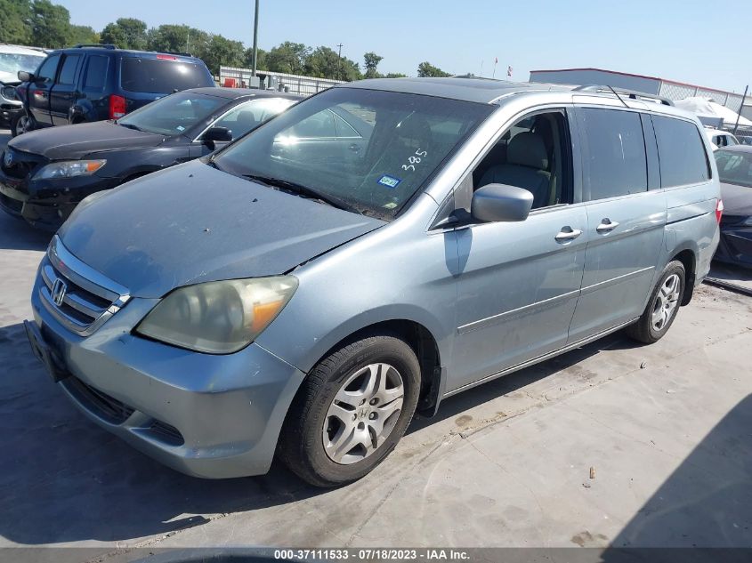 2007 Honda Odyssey Ex-L VIN: 5FNRL38747B031071 Lot: 40946891