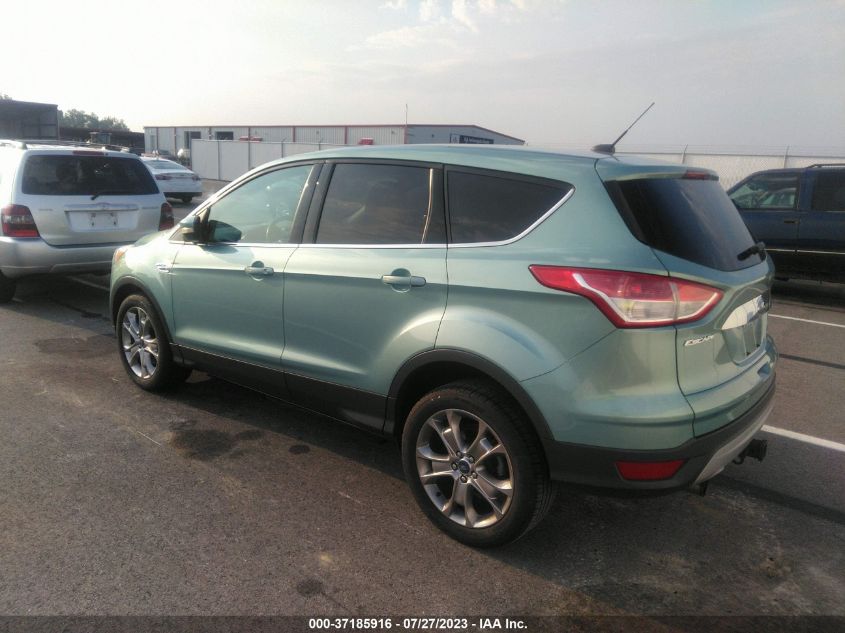 2013 Ford Escape Sel VIN: 1FMCU0H91DUA01446 Lot: 37185916