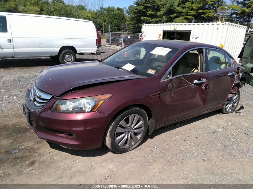 2011 Honda Accord VIN: 1HVCT3F13A029283 Lot: 37230816