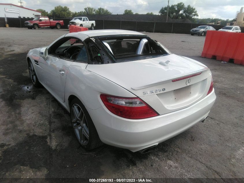 VIN WDDPK4HA8DF052790 2013 Mercedes-Benz SLK-Class,... no.3