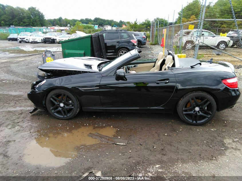 VIN WDDPK4HA7DF058208 2013 Mercedes-Benz SLK-Class,... no.14