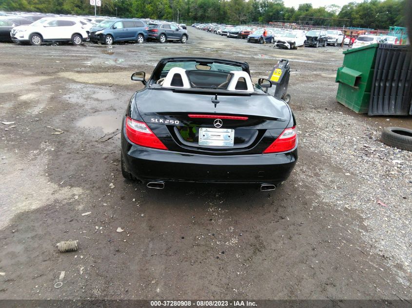 VIN WDDPK4HA7DF058208 2013 Mercedes-Benz SLK-Class,... no.16