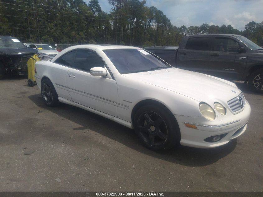 2003 Mercedes-Benz Cl-Class 5.5L Amg VIN: WDBPJ74J53A032706 Lot: 37322903