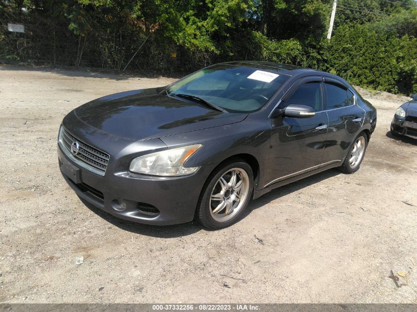 2010 Nissan Maxima 3.5 Sv VIN: 1N4AA5AP5AC833325 Lot: 37332256