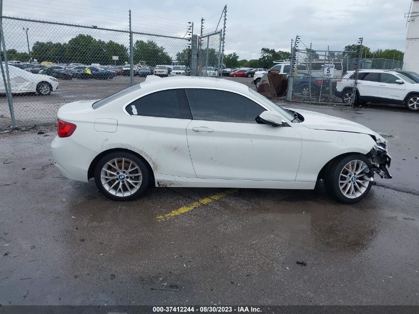 2015 BMW 228I VIN: WBA1F9C56FV544056 Lot: 37412244