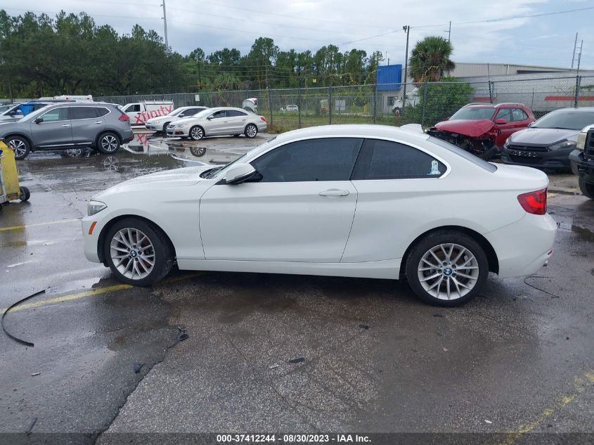 2015 BMW 228I VIN: WBA1F9C56FV544056 Lot: 37412244