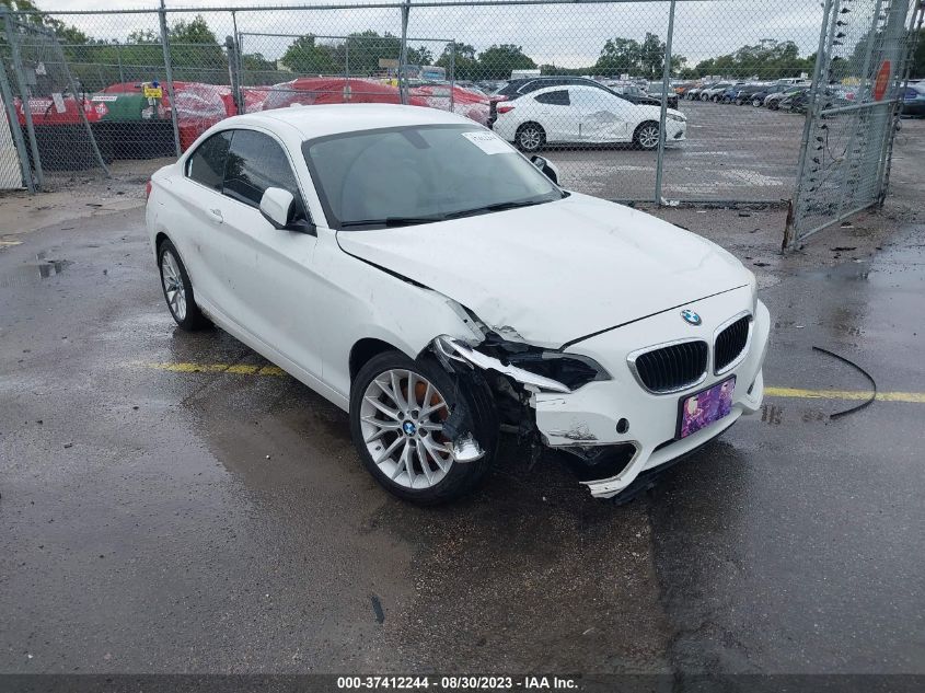 2015 BMW 228I VIN: WBA1F9C56FV544056 Lot: 37412244