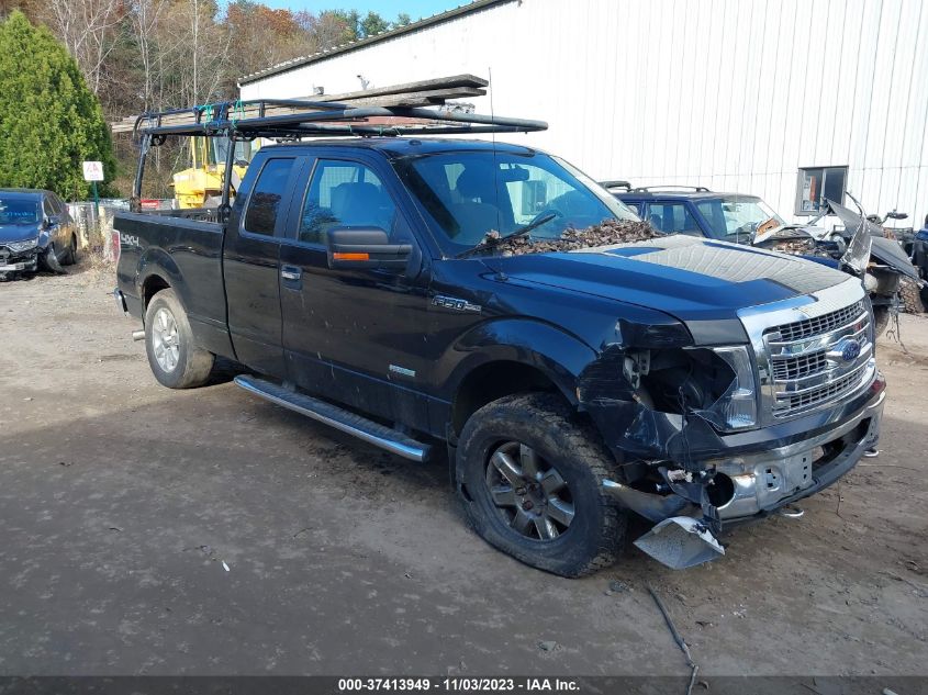 2013 Ford F-150 Xlt VIN: 1FTFX1ET8DFB14071 Lot: 37413949