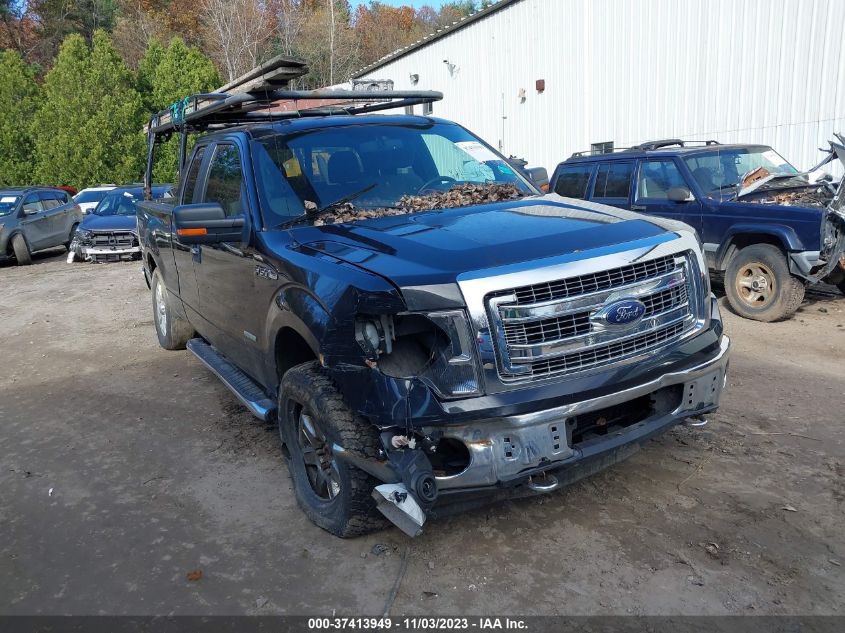 2013 Ford F-150 Xlt VIN: 1FTFX1ET8DFB14071 Lot: 37413949