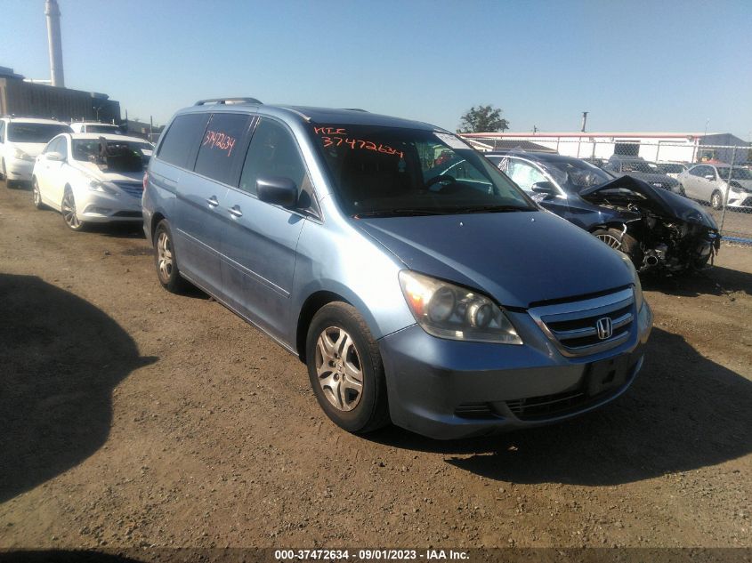 2005 Honda Odyssey Ex-L VIN: 5FNRL38635B117668 Lot: 37472634